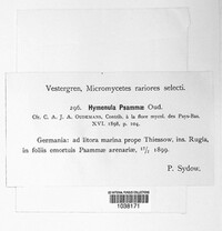 Image Associated With the Occurence